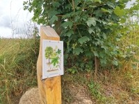 Modráskova naučná stezka (foto 5)