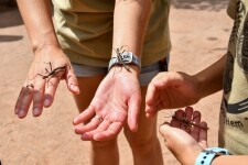 Zoologická zahrada Jihlava (foto 7)