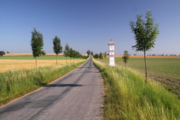 A BIKE RIDE FROM TŘEBÍČ THROUGH A VIEWPOINT TO THE VINEYARDS AND BACK (photo 1)