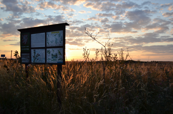 THE LANDSCAPE BETWEEN THE JEVIŠOVKA RIVER AND THE DALEŠICE RESERVOIR (photo 1)