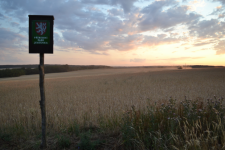 THE LANDSCAPE BETWEEN THE JEVIŠOVKA RIVER AND THE DALEŠICE RESERVOIR (photo 2)