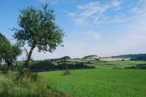 THE DEEP RAVINES OF THE SVRATECKÁ HORNATINA HIGHLANDS (photo 1)