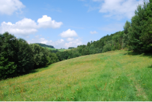 THE DEEP RAVINES OF THE SVRATECKÁ HORNATINA HIGHLANDS (photo 3)