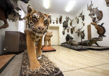 Zámek Budišov (foto 3)