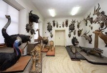 Budišov Chateau (photo 6)