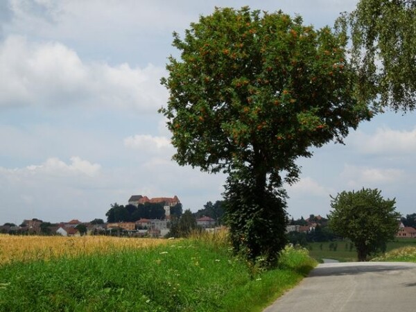 DURCH DIE SCHÖNE NATUR VON PACOV AUF DIE BURG KÁMEN (Foto 1)