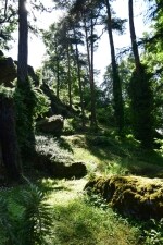 DURCH DIE SCHÖNE NATUR VON PACOV AUF DIE BURG KÁMEN (Foto 4)