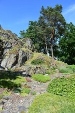 DURCH DIE SCHÖNE NATUR VON PACOV AUF DIE BURG KÁMEN (Foto 5)