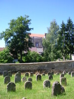 DURCH DIE SCHÖNE NATUR VON PACOV AUF DIE BURG KÁMEN (Foto 7)