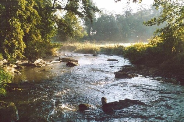 THE LANDSCAPE AROUND THE SÁZAVA RIVER (photo 1)
