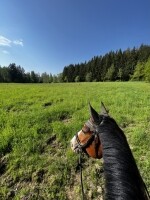Farma Sýkorův mlýn (foto 3)