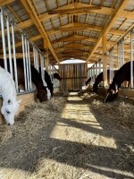 Farma Sýkorův mlýn (foto 6)