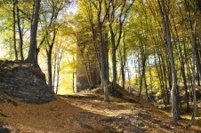 Zřícenina hradu Chřenovice (foto 3)