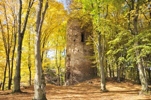 Zřícenina hradu Chřenovice (foto 1)