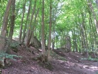 Zřícenina hradu Chřenovice (foto 6)