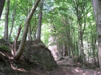 Zřícenina hradu Chřenovice (foto 7)