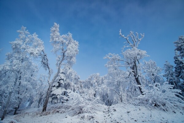 Běžecká trasa Bažantnice (foto 1)