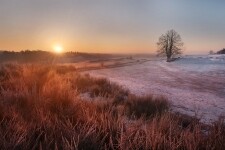 Běžecká trasa Bažantnice (foto 5)