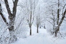 Běžkařská trasa okolo Melechova (foto 2)
