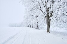 Běžkařská trasa okolo Melechova (foto 4)