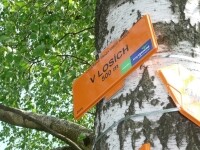 Běžkařská trasa z Kámena do Lysé (foto 2)