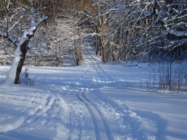 Běžkařské trasy okolo Havlíčkova Brodu (foto 1)