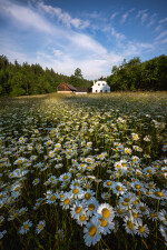 Šlakhamr Hamry nad Sázavou (foto 2)