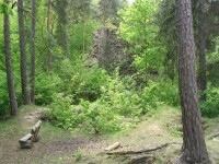 Zřícenina hradu Holoubek (foto 4)