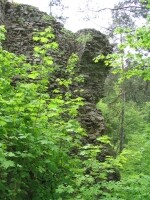 Zřícenina hradu Holoubek (foto 6)