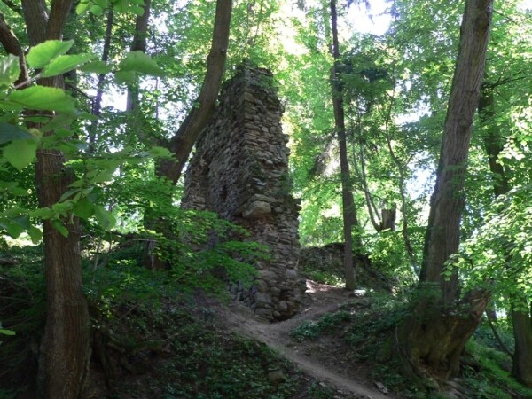 Zřícenina hradu Ronov nad Sázavou (foto 1)