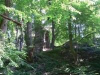 Zřícenina hradu Ronov nad Sázavou (foto 2)
