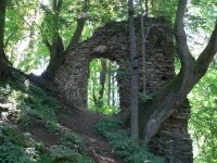 Zřícenina hradu Ronov nad Sázavou (foto 3)