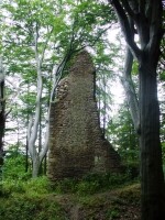 Zřícenina tvrze Melechov (foto 4)