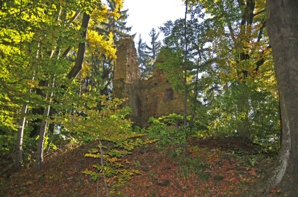Zřícenina tvrze Melechov (foto 1)