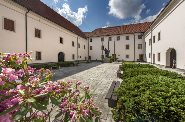 Přibyslav Chateau (photo 1)