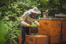 Včelařství Špaček (foto 9)