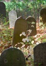 Židovský hřbitov – tyfový Havlíčkův Brod (foto 2)