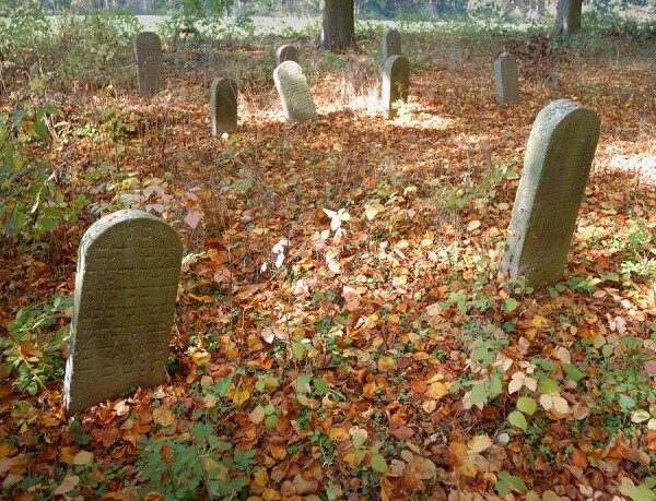 Židovský hřbitov – tyfový Havlíčkův Brod (foto 1)