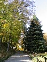 Děkanská zahrada Pelhřimov (foto 3)