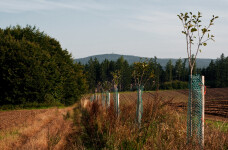 Sovova naučná stezka (foto 3)