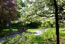 Historické jádro města Havlíčkův Brod (foto 4)