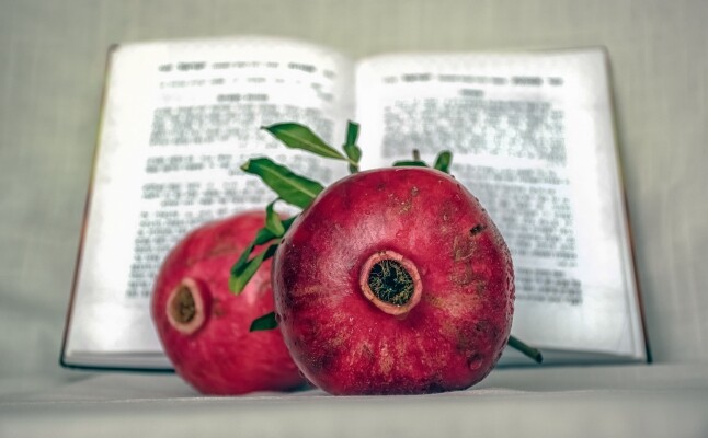 Narození a obřízka (foto 1)