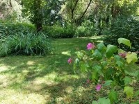 Bohuslav Reynek (foto 5)