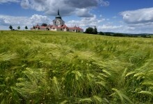 Poutní kostel sv. Jana Nepomuckého na Zelené hoře (UNESCO) (foto 4)