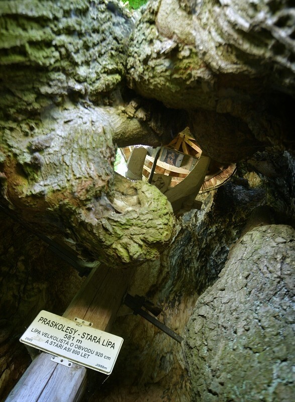 Praskolesy – vesnická památková rezervace (foto 1)