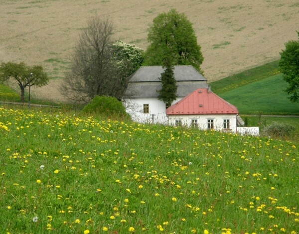 Toleranční modlitebna Daňkovice (foto 1)