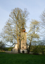 Kostel sv. Markéty Loukov (foto 2)