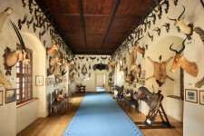 Státní zámek Telč (UNESCO) (foto 3)