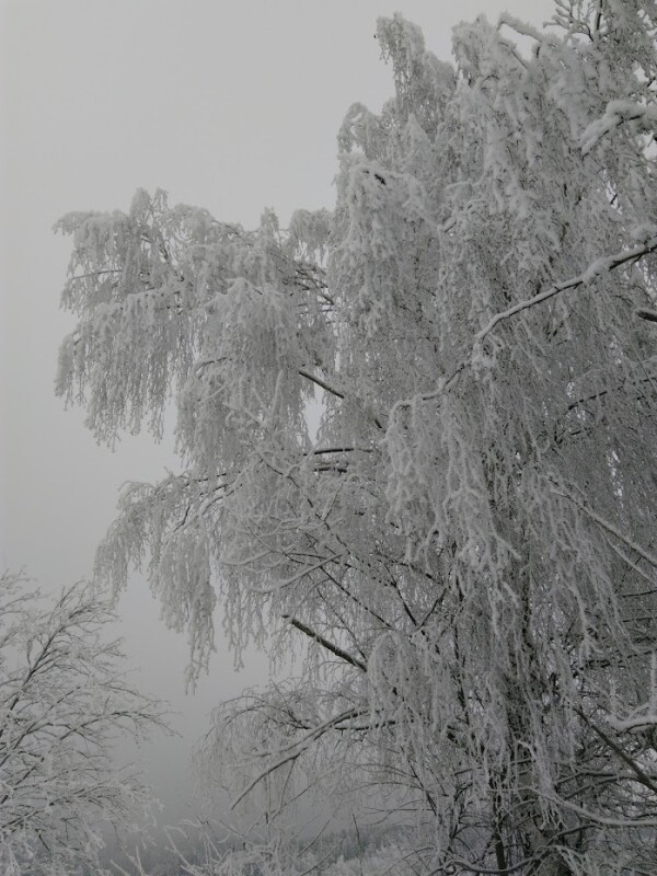 Rudíkov - Hodov - Vlčatín (foto 1)
