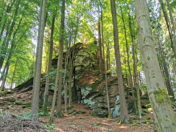 Okolo Svratky (foto 1)